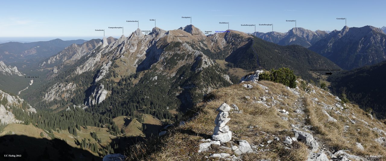Hochblasse Fiebig